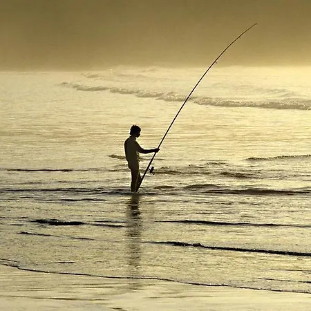 Arrabida With Golf 아파트 *